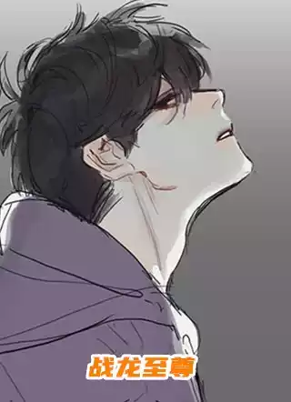 战龙至尊小说