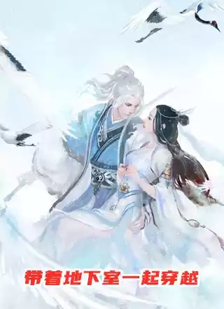 带着地下室一起穿越小说