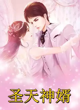 圣天神婿小说