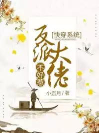 快穿系统反派大佬不好惹小说