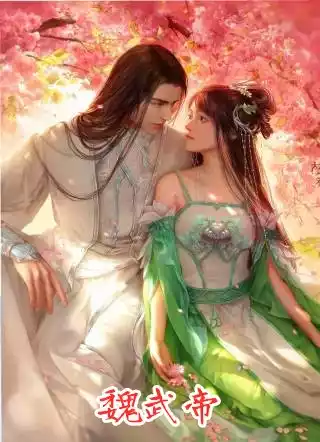 魏武帝小说