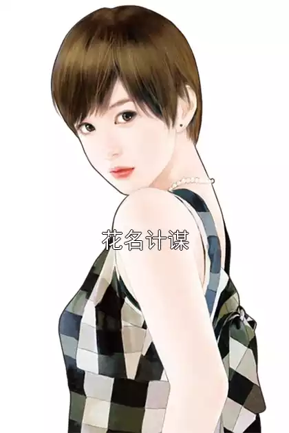 花名计谋小说