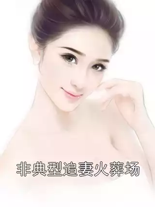 非典型追妻火葬场小说