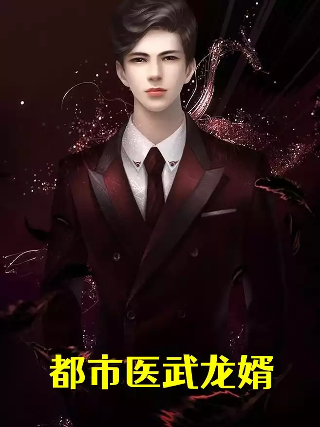 都市医武龙婿小说