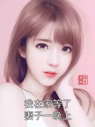 我在家等了妻子一晚上小说