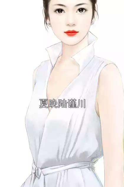 夏晚陆谨川