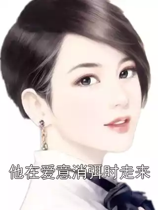 他在爱意消弭时走来小说