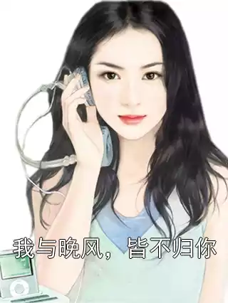 我与晚风，皆不归你小说