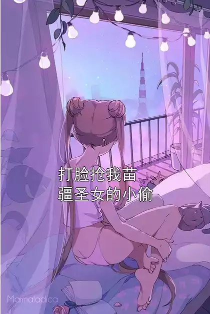 打脸抢我苗疆圣女的小偷小说
