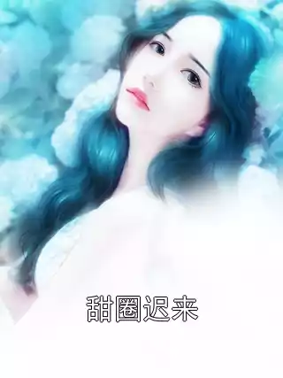 甜圈迟来小说