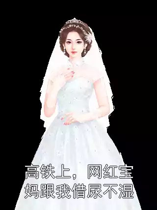 高铁上，网红宝妈跟我借尿不湿小说
