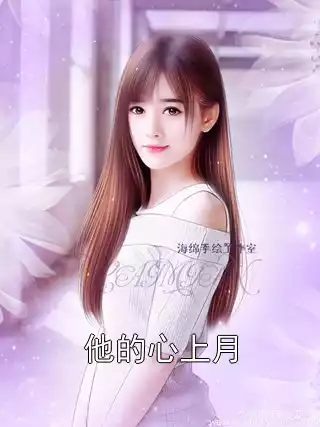 他的心上月小说