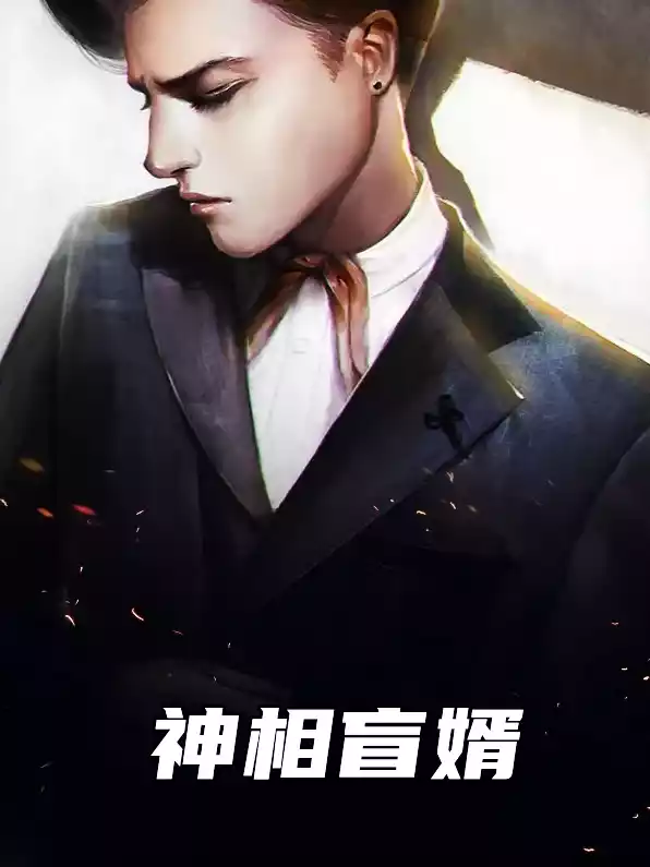 神相盲婿小说