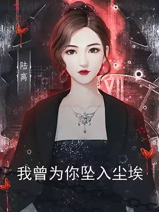 我曾为你坠入尘埃小说