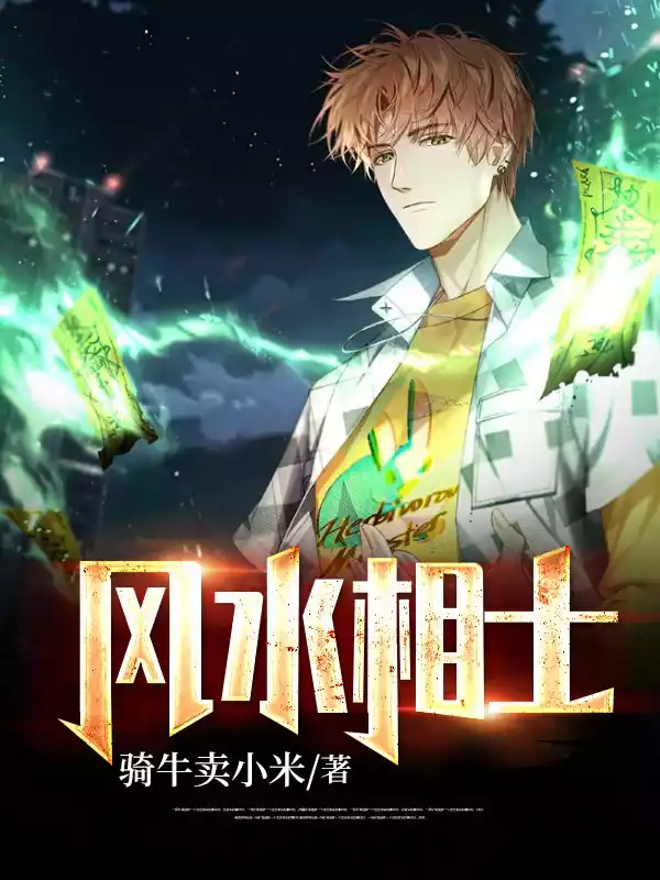 风水相士小说