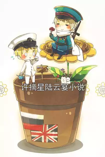 许摘星陆云宴小说小说