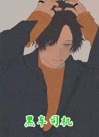 黑车司机小说