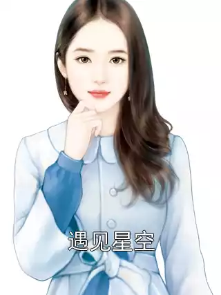 遇见星空小说