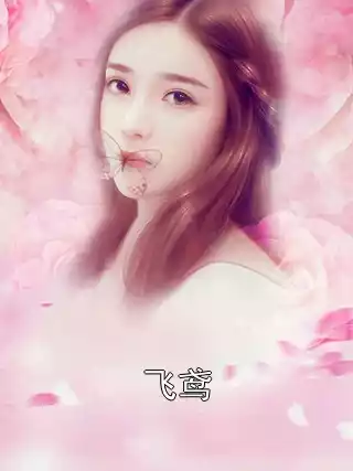 飞鸢小说