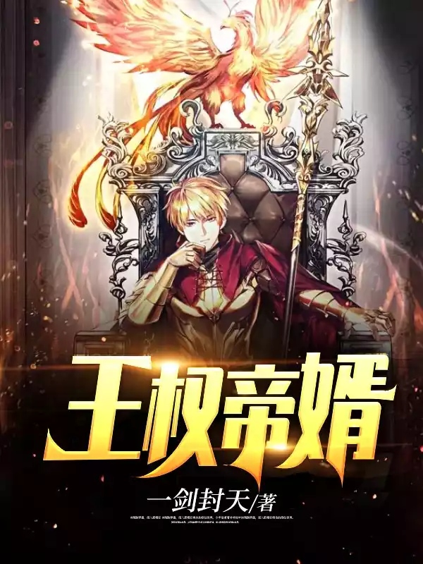 王权帝婿小说