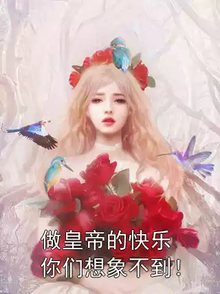 做皇帝的快乐你们想象不到！小说