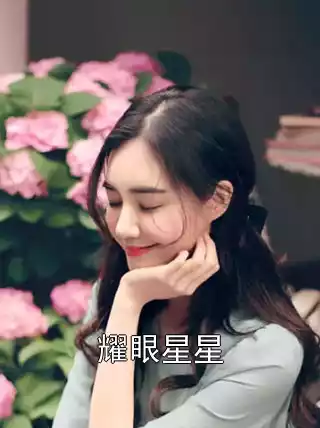 耀眼星星小说