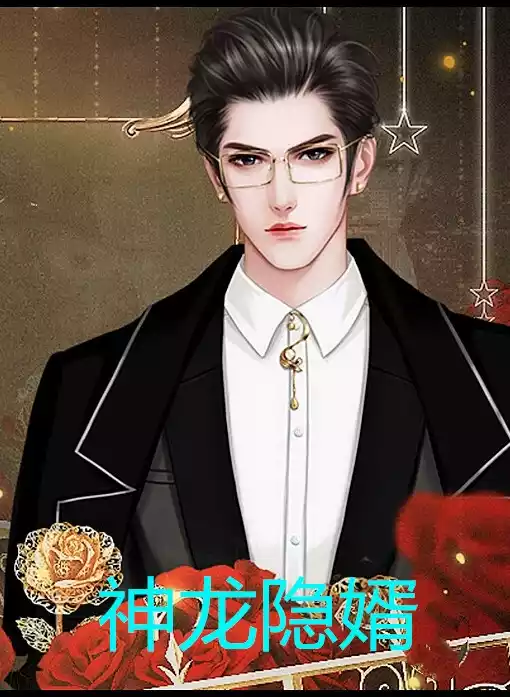 神龙隐婿小说