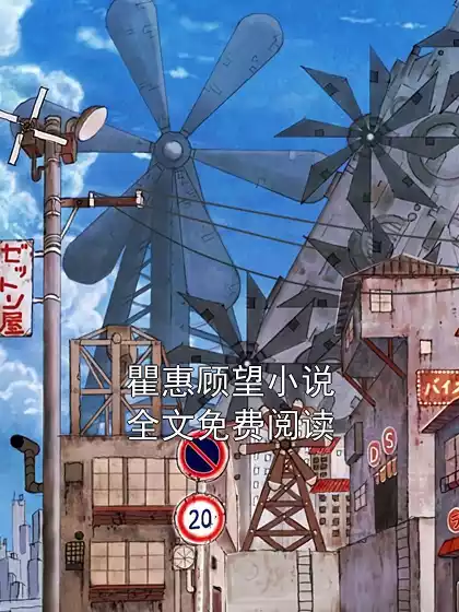 瞿惠顾望小说全文免费阅读小说