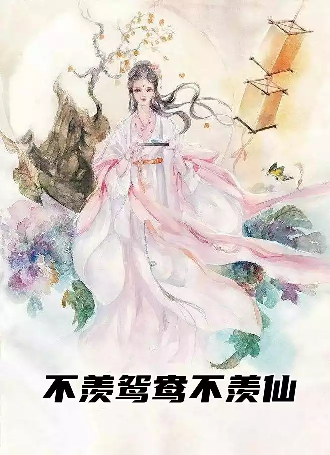 不羡鸳鸯不羡仙小说
