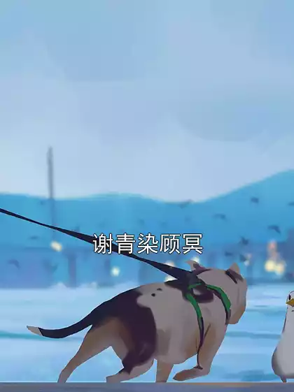 谢青染顾冥小说