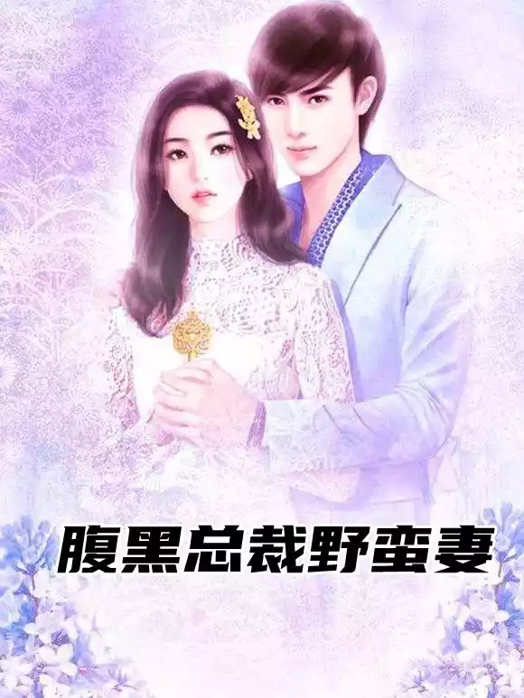 腹黑总裁野蛮妻小说