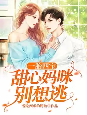 一胎四宝甜心妈咪别想逃小说