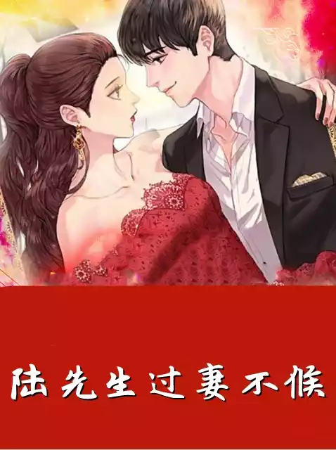 陆先生过妻不候小说