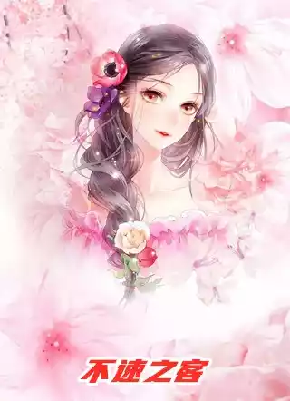 不速之客小说