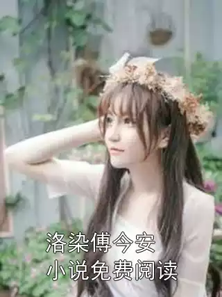 洛染傅今安小说免费阅读