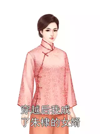 穿越后我成了朱棣的女婿小说