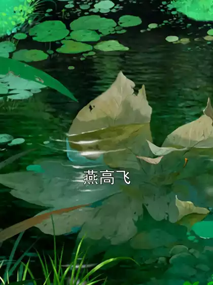 燕高飞小说