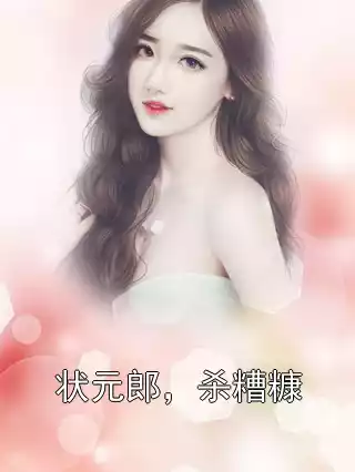 状元郎，杀糟糠小说