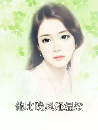 他比晚风还温柔小说