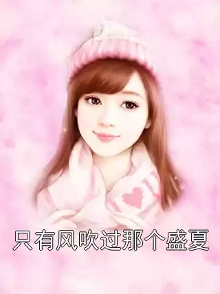 只有风吹过那个盛夏小说