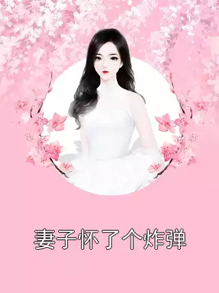 妻子怀了个炸弹小说