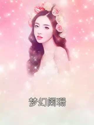 梦幻阑珊小说