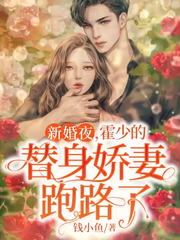 新婚夜霍少的替身娇妻跑路了小说