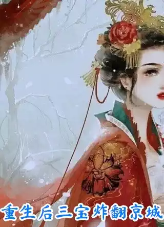 重生后三宝炸翻京城小说