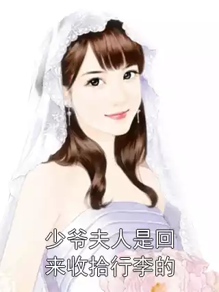 少爷夫人是回来收拾行李的小说