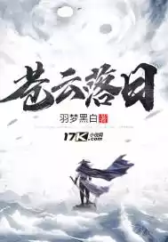 苍云落日小说