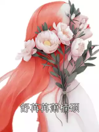 舒苒苒萧楠硕小说