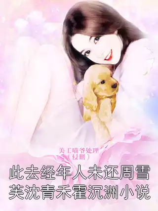 此去经年人未还周雪芙沈青禾霍沉洲小说