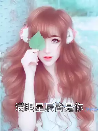 满眼星辰皆是你小说