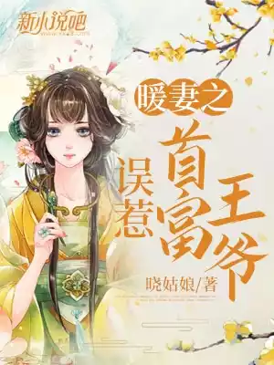 暖妻之误惹首富王爷小说